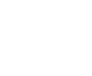 Evolution games at Oreels Casino